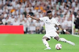 这支球队不 这支球队不